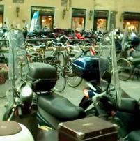Bicycles parked in Florence